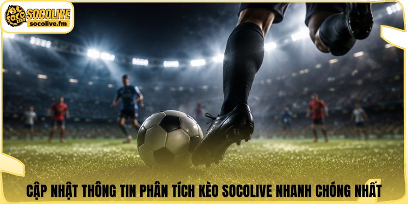 Cập nhật thông tin phân tích kèo Socolive nhanh chóng nhất