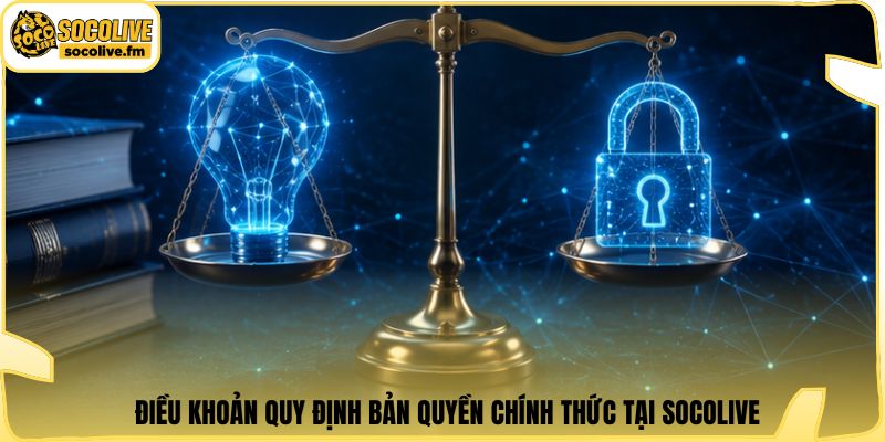 Điều khoản quy định bản quyềnchính thức tại Socolive