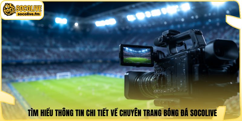 Tìm hiểu thông tin chi tiết về chuyên trang bóng đá Socolive